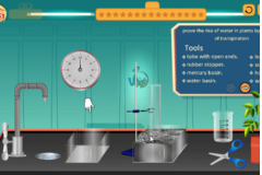 Prove the rise of water in plants by the force of transpiration